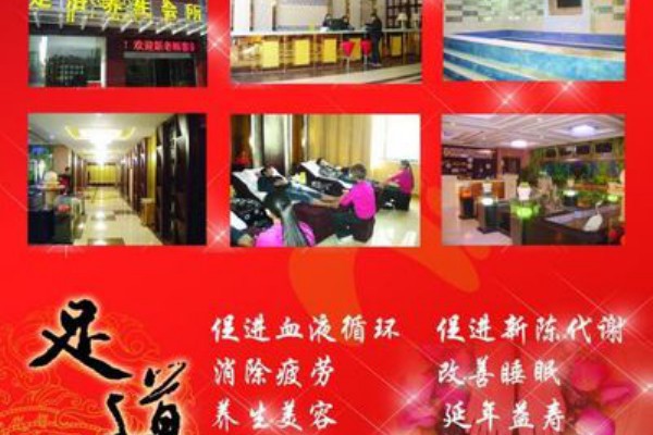 合肥喝茶VX：探寻徽州茶韵，品味合肥茶文化之旅